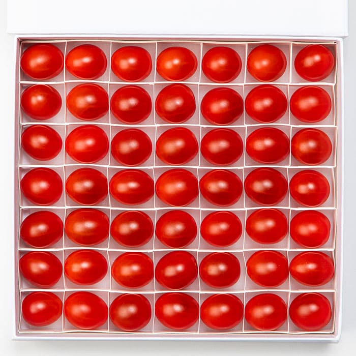 OSMIC FIRST PRINCESS　トマト（糖度11）約 450g